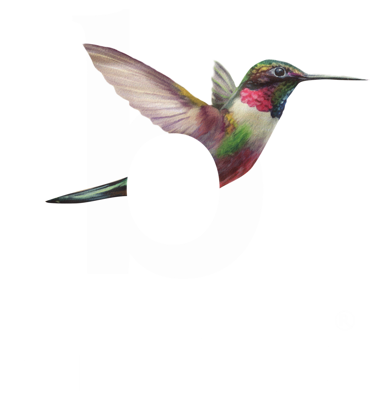 binske logo